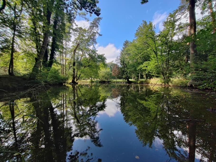 -Stadthaus Ida- Mit Grosser Dachterasse, Am Schlosspark, Luftkurort Kisslegg, Boxspringbetten, Kaffeevollautomat, Smarttv, Familienfreundlich, Grosszuegig, Zentral Exterior foto