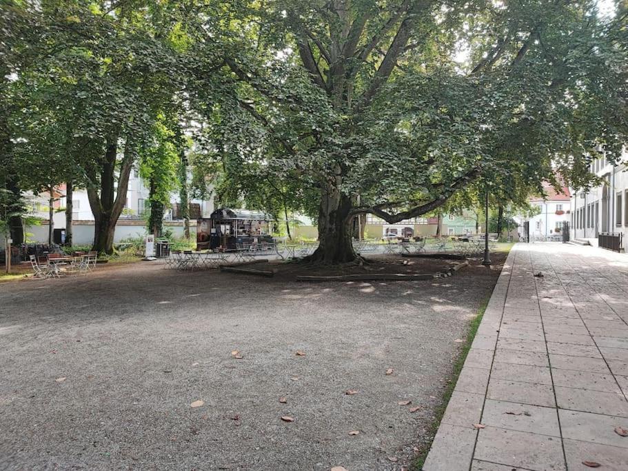 -Stadthaus Ida- Mit Grosser Dachterasse, Am Schlosspark, Luftkurort Kisslegg, Boxspringbetten, Kaffeevollautomat, Smarttv, Familienfreundlich, Grosszuegig, Zentral Exterior foto